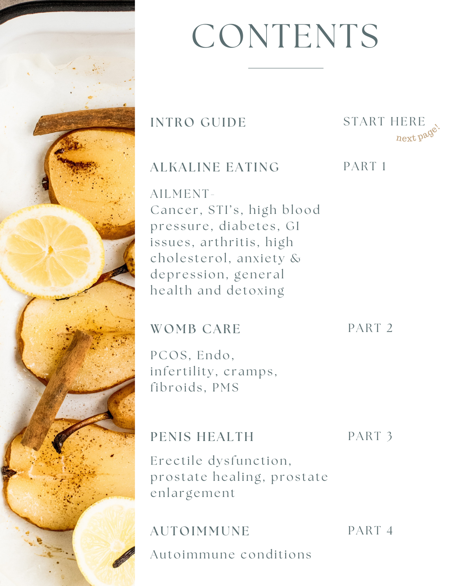 Healing Recipe & Protocol eBook